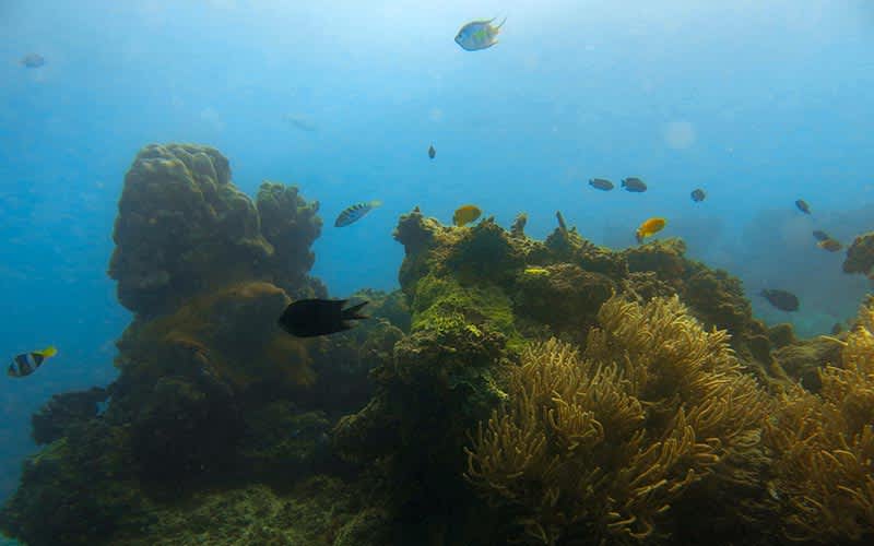 President-Coolidge-Vanuatu